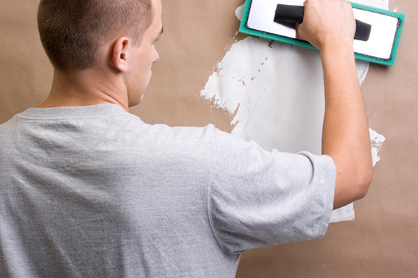 Plaster